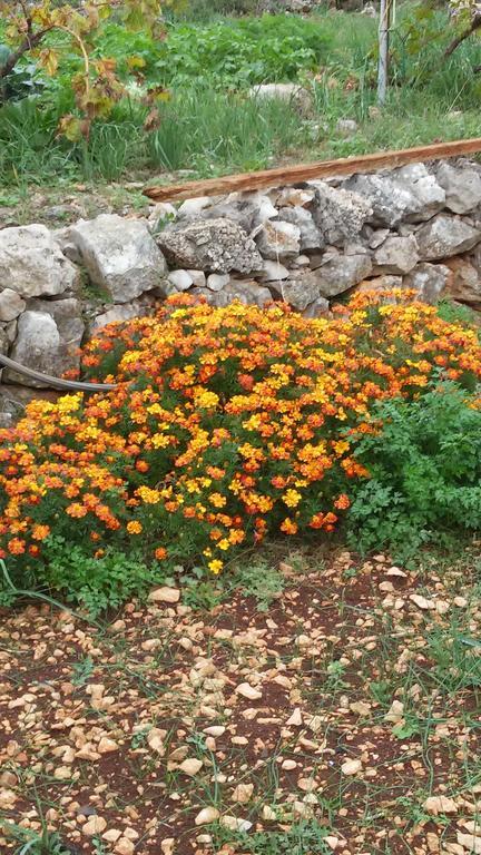 Vrsine Country House Rusula מראה חיצוני תמונה