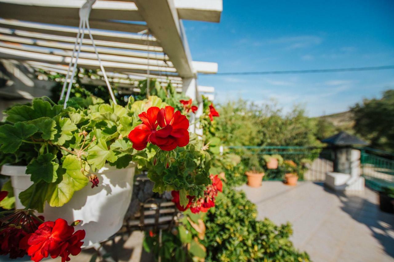 Vrsine Country House Rusula מראה חיצוני תמונה